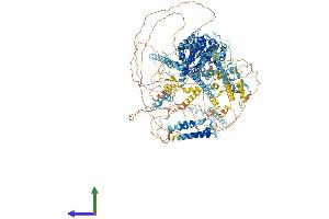 Protein Structure (PS) image for SWI/SNF Related, Matrix Associated, Actin Dependent Regulator of Chromatin, Subfamily A, Member 2 (SMARCA2) (AA 1-1590) protein (His tag) (ABIN7555556)