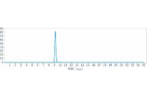 The purity of Anti-STAB1 Reference Antibody (bexmarilimab) is 100 % , determined by SEC-HPLC. (Recombinant STAB1 (Bexmarilimab Biosimilar) antibody)
