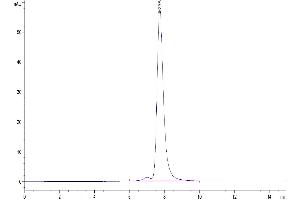 EPH Receptor A10 Protein (EPHA10) (AA 34-565) (His tag)