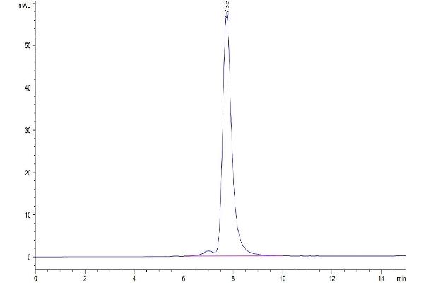 EPH Receptor A10 Protein (EPHA10) (AA 34-565) (His tag)