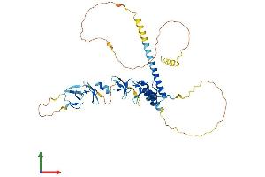 AlphaFold protein structure predicition of Mouse Recombinant Lmx1b Protein, UniprotID O88609 (LMX1B Protein (AA 1-395) (His tag))