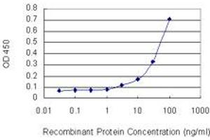 Detection limit for recombinant GST tagged PDE5A is 1 ng/ml as a capture antibody. (PDE5A antibody  (AA 29-138))
