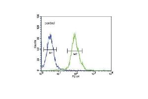 TPH2 Antibody (Center) (ABIN653124 and ABIN2842704) flow cytometric analysis of 293 cells (right histogram) compared to a negative control cell (left histogram). (Tryptophan Hydroxylase 2 antibody  (AA 168-193))