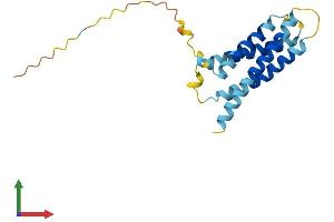 AlphaFold protein structure predicition of Mouse Recombinant Cmtm8 Protein, UniprotID Q9CZR4 (CMTM8 Protein (AA 1-173) (His tag))