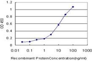 Detection limit for recombinant GST tagged CDK4 is approximately 0. (CDK4 antibody  (AA 211-303))