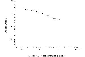 ACTH ELISA Kit