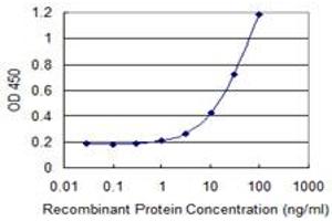 Detection limit for recombinant GST tagged MTAP is 0. (MTAP antibody  (AA 1-283))