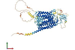 AlphaFold protein structure predicition of Human Recombinant SLCO2B1 Protein, UniprotID O94956 (SLCO2B1 Protein (AA 1-709) (His tag))