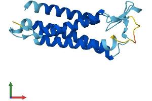 AlphaFold protein structure predicition of Mouse Recombinant Emp1 Protein, UniprotID P47801 (EMP1 Protein (AA 1-160) (His tag))