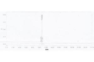 Image no. 2 for Pro-Brain Natriuretic Peptide (NT-ProBNP) (NT-ProBNP) (N-Term) peptide (KLH) (ABIN5666040) (Pro-Brain Natriuretic Peptide (NT-ProBNP) (NT-ProBNP) (N-Term) peptide (KLH))