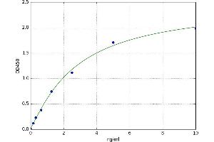A typical standard curve