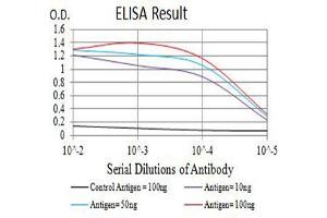 Black line: Control Antigen (100 ng),Purple line: Antigen (10 ng), Blue line: Antigen (50 ng), Red line:Antigen (100 ng) (TLL1 antibody  (AA 870-1013))