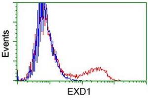 HEK293T cells transfected with either RC206223 overexpress plasmid (Red) or empty vector control plasmid (Blue) were immunostained by anti-EXD1 antibody (ABIN2453983), and then analyzed by flow cytometry. (EXD1 antibody)