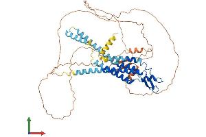 AlphaFold protein structure predicition of Human Recombinant GJA10 Protein, UniprotID Q969M2