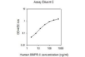 ELISA image for Bone Morphogenetic Protein Receptor, Type II (serine/threonine Kinase) (BMPR2) ELISA Kit (ABIN4881982) (BMPR2 ELISA Kit)