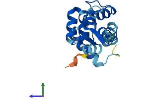 AlphaFold protein structure predicition of Mouse Recombinant Calml4 Protein, UniprotID Q91WQ9