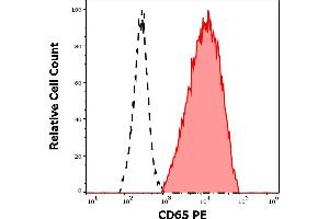Separation of human neutrophil granulocytes (red-filled) from lymphocytes (black-dashed) in flow cytometry analysis (surface staining) of peripheral whole blood stained using anti-human CD65 (VIM8) PE antibody (10 μL reagent / 100 μL of peripheral whole blood). (CD65 antibody (PE))
