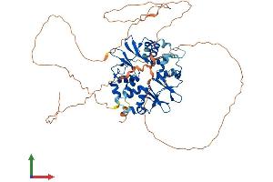 AlphaFold protein structure predicition of Mouse Recombinant Prkag2 Protein, UniprotID Q91WG5