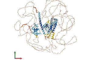 Protein Structure (PS) image for Synergin gamma (SYNRG) (AA 1-1306) protein (His tag) (ABIN7563843)
