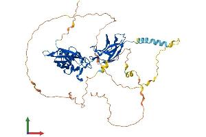 Protein Structure (PS) image for Nuclear Factor-kB p65 (NFkBP65) (AA 1-551) protein (His tag) (ABIN7555718)