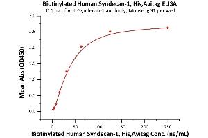 Immobilized Acan-1 antibody, Mouse IgG1 at 1 μg/mL (100 μL/well)onstreptavidin  (0. (Syndecan 1 Protein (SDC1) (AA 23-254) (His tag,AVI tag,Biotin))
