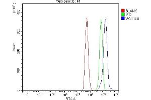 Flow Cytometry analysis of NRK cells using anti-WNT10B antibody (ABIN7603104).