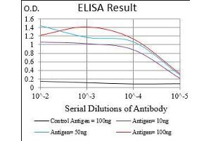 Black line: Control Antigen (100 ng), Purple line: Antigen(10 ng), Blue line: Antigen (50 ng), Red line: Antigen (100 ng), (PAPLN antibody  (AA 766-870))