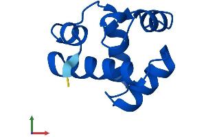 Protein Structure (PS) image for Barrier To Autointegration Factor 1 (BANF1) (AA 1-89) protein (His tag) (ABIN7562456)