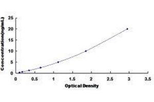 Carboxypeptidase N Subunit 1 (CPN1) ELISA Kit