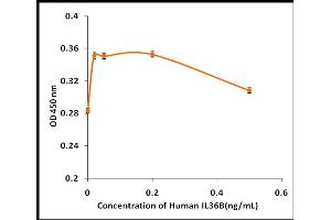 Activity Assay (AcA) image for Interleukin 1 eta (FIL1h) (Active) protein (ABIN5509788) (FIL1h Protein)