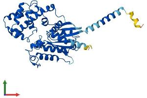AlphaFold protein structure predicition of Human Recombinant GNA11 Protein, UniprotID P29992