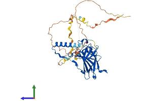 AlphaFold protein structure predicition of Human Recombinant TP53 Protein, UniprotID P04637 (p53 Protein (AA 1-393) (His tag))
