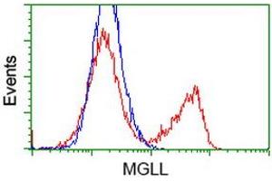 HEK293T cells transfected with either RC218358 overexpress plasmid (Red) or empty vector control plasmid (Blue) were immunostained by anti-MGLL antibody (ABIN2454597), and then analyzed by flow cytometry. (MGLL antibody)