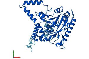 Protein Structure (PS) image for Monoacylglycerol O-Acyltransferase 2 (MOGAT2) (AA 1-334) protein (His tag) (ABIN7549501)