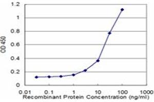 ELISA image for anti-Major Histocompatibility Complex, Class II, DQ beta 2 (HLA-DQB2) (AA 1-231) antibody (ABIN516503)