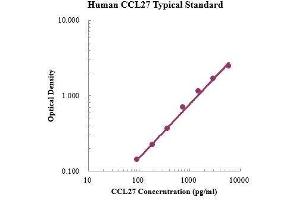 ELISA image for Chemokine (C-C Motif) Ligand 27 (CCL27) ELISA Kit (ABIN3199203)