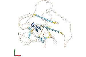 Protein Structure (PS) image for TAF3 RNA Polymerase II, TATA Box Binding Protein (TBP)-Associated Factor, 140kDa (TAF3) (AA 1-929) protein (His tag) (ABIN7555701)