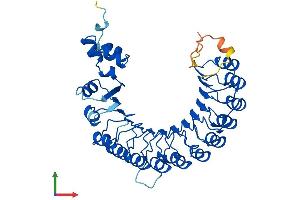 AlphaFold protein structure predicition of Human Recombinant FBXL14 Protein, UniprotID Q8N1E6