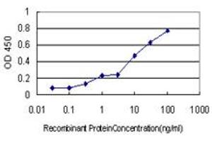 Detection limit for recombinant GST tagged TEX13A is approximately 0. (TEX13A antibody  (AA 1-409))