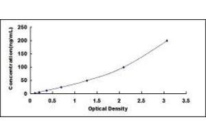 Typical standard curve (BCKDK ELISA Kit)