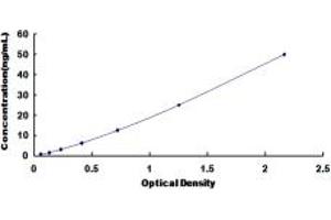 Typical standard curve (FABP1 ELISA Kit)