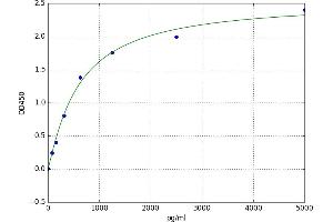 Phosphatidylinositol-5-Phosphate 4-Kinase, Type II, gamma (PIP4K2C) ELISA Kit