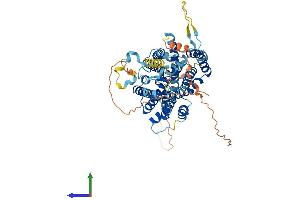 Protein Structure (PS) image for Solute Carrier Family 23 Member 3 (SLC23A3) (AA 1-611) protein (His tag) (ABIN7557624)