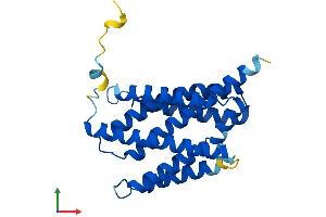 AlphaFold protein structure predicition of Mouse Recombinant Tmbim6 Protein, UniprotID Q9D2C7 (Bax Inhibitor 1 Protein (AA 1-237) (His tag))