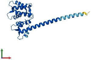 AlphaFold protein structure predicition of Mouse Recombinant Efcab9 Protein, UniprotID Q9DAM2