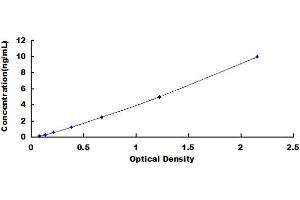 NFKB Activating Protein (NKAP) ELISA Kit
