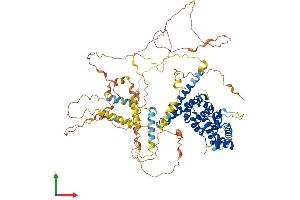 AlphaFold protein structure predicition of Human Recombinant PATL1 Protein, UniprotID Q86TB9