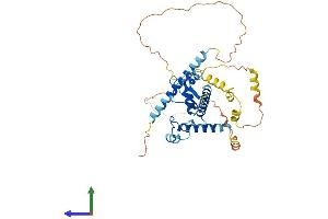 AlphaFold protein structure predicition of Mouse Recombinant Abra Protein, UniprotID Q8BUZ1 (ABRA Protein (AA 1-375) (His tag))