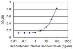 Detection limit for recombinant GST tagged SULT4A1 is 1 ng/ml as a capture antibody. (SULT4A1 antibody  (AA 1-100))