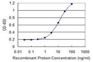 Detection limit for recombinant GST tagged CHST3 is 0. (CHST3 antibody  (AA 312-411))